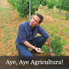 Aye, Aye Agricultura!